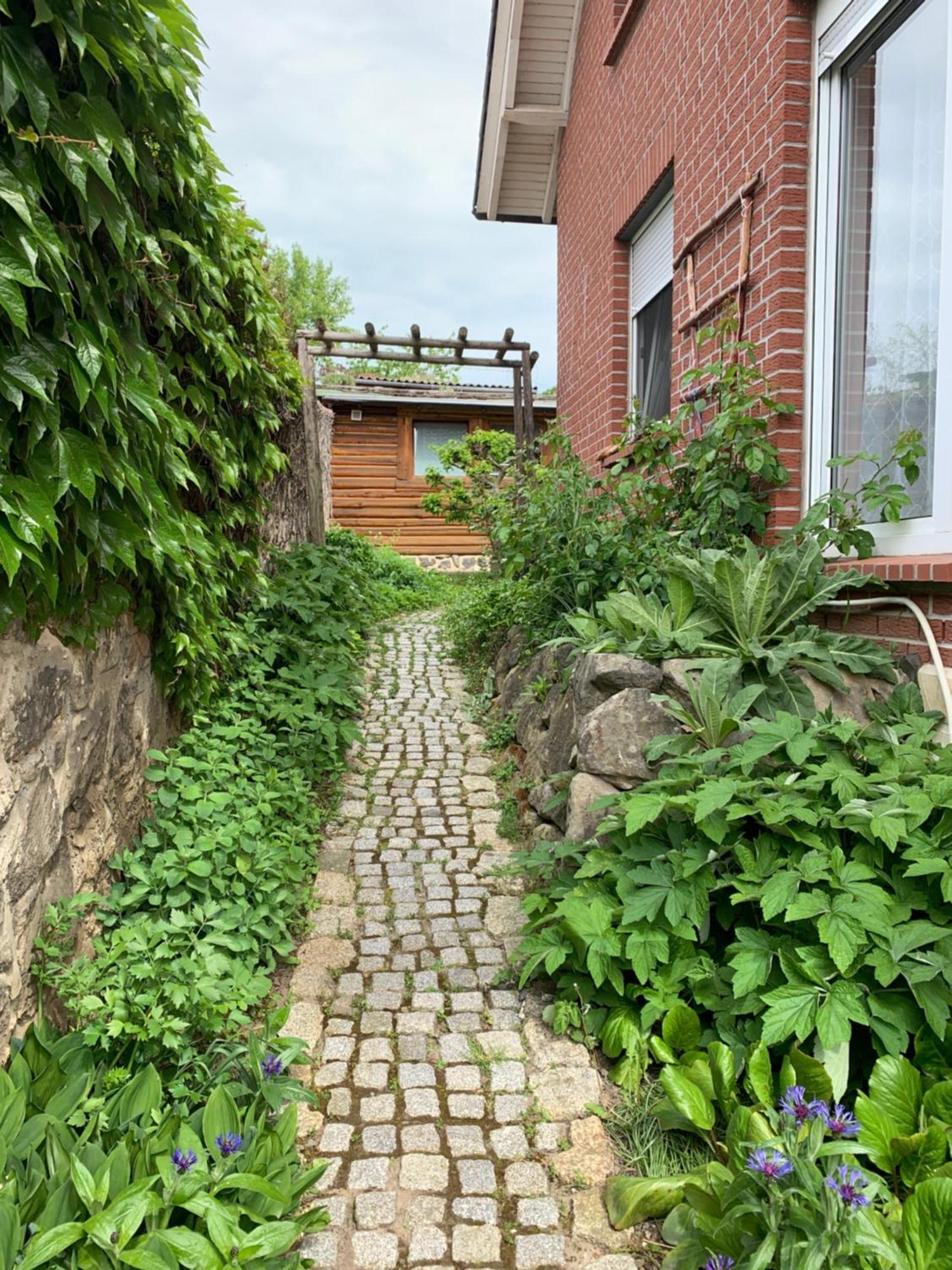 Blockhausvermietung "Vor Dem Groeperntor" Quedlinburg Esterno foto